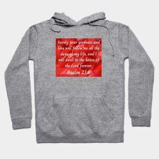 Bible Verse Psalm 23:6 Hoodie